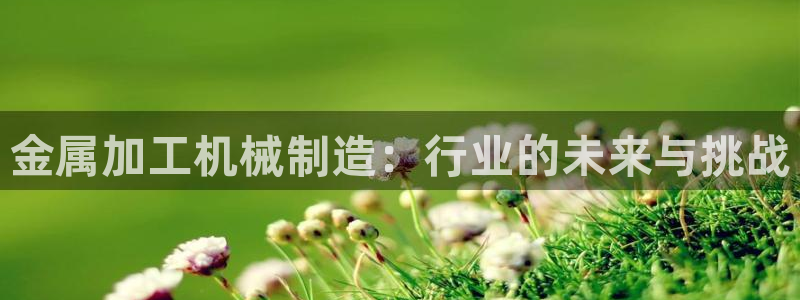 彩名堂免费计划5.0使用方法