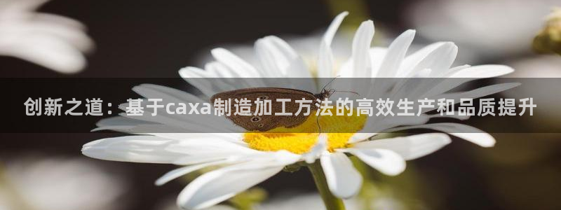 彩名堂为什么突然不能用了
