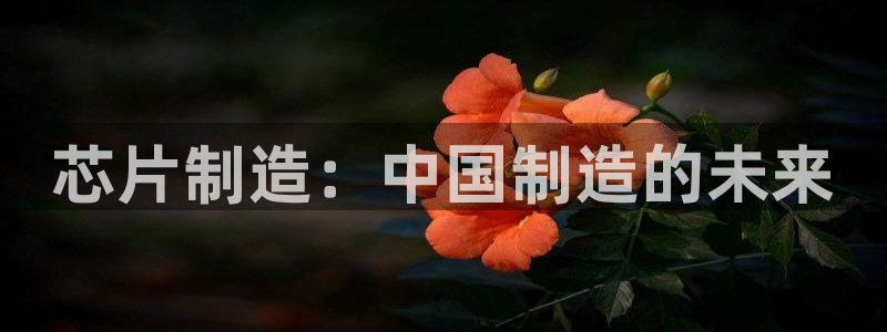 彩名堂app官方网