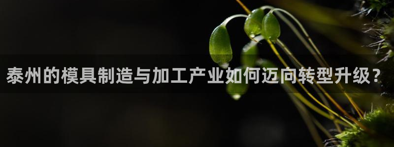 彩名堂app官方网