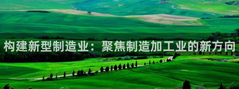 彩名堂怎么打最稳