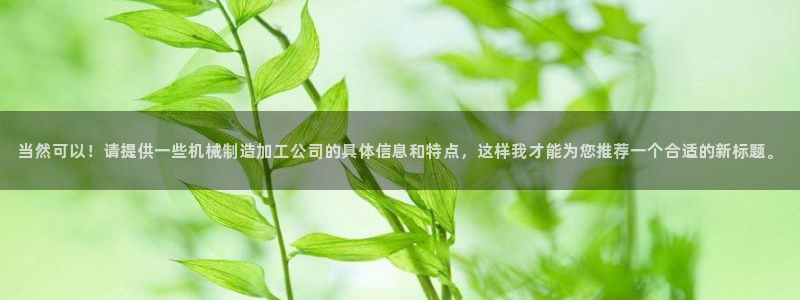 彩名堂网页