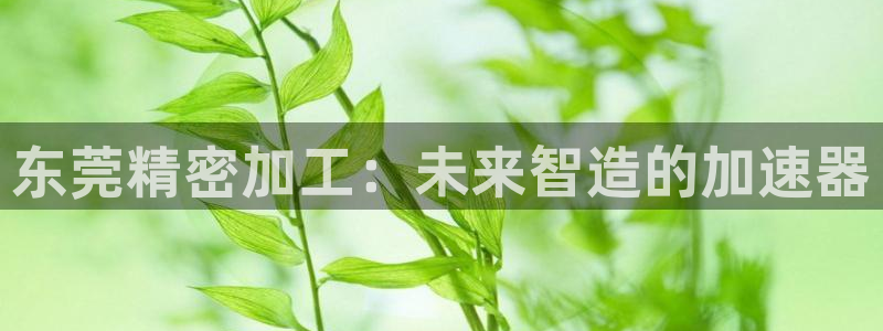 彩名堂app官方网址是多少