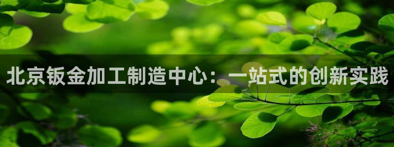 彩名堂怎么打最稳