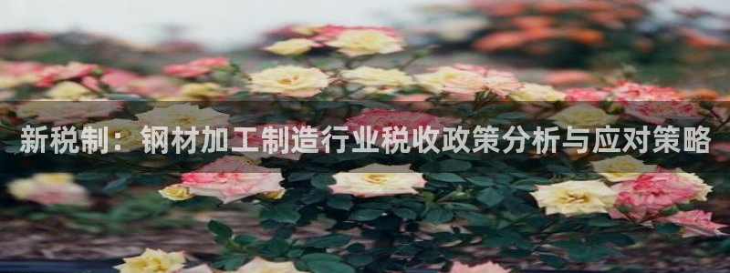 彩名堂app官方网