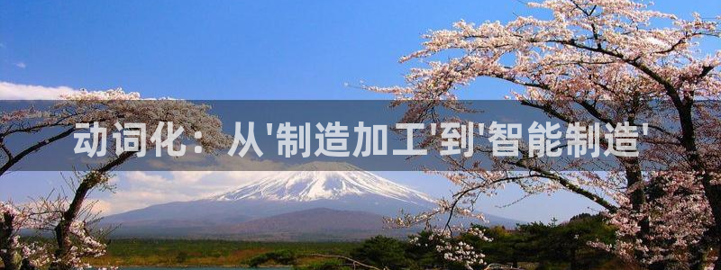 彩名堂合作655560