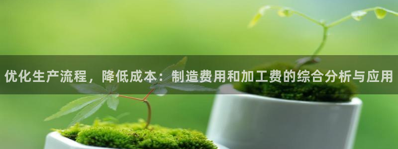 彩名堂5.0计划