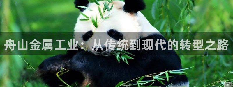 彩名堂计划官网客户端