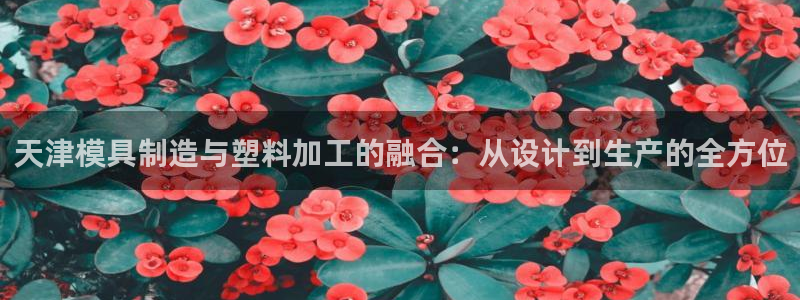 彩名堂手机客户端