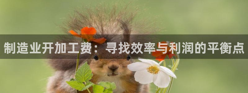彩名堂官网计划怎么下载到手机