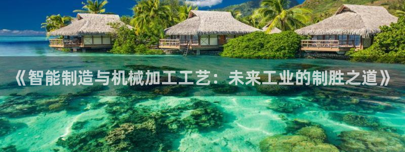 彩名堂跟哪种最好用
