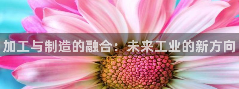 彩名堂的拼音