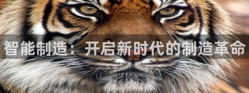 彩名堂为什么用不了了