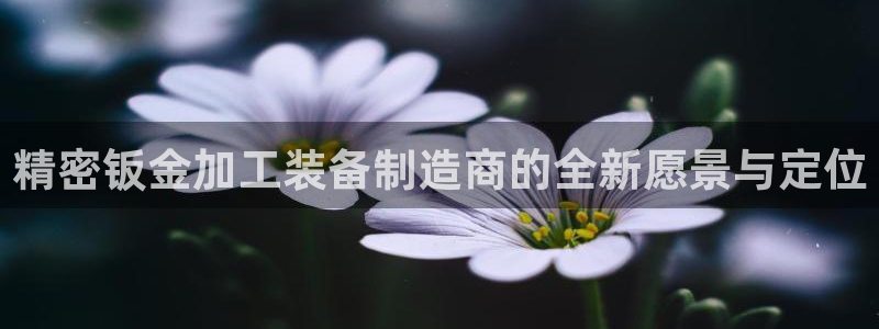 彩名堂怎么用不输
