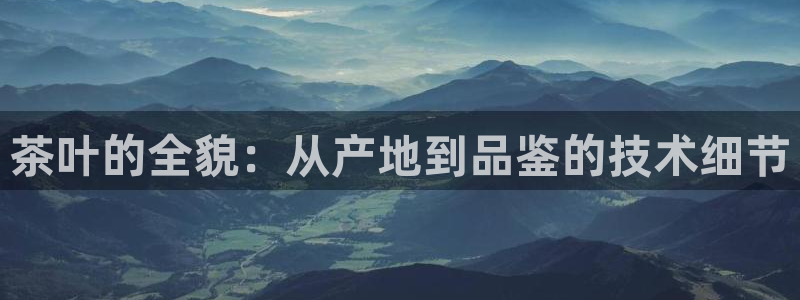 下载彩名堂预测计划软件安全吗