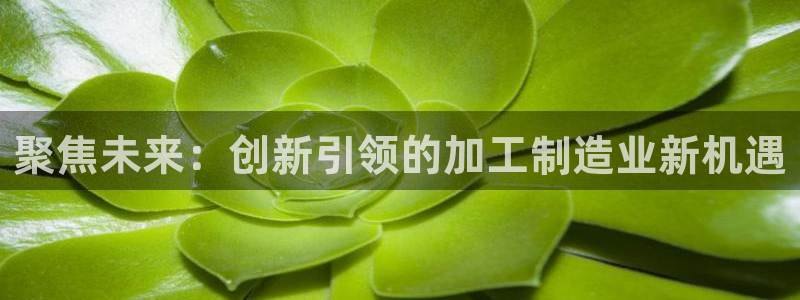 彩名堂人工计划怎么找不到下载了?
