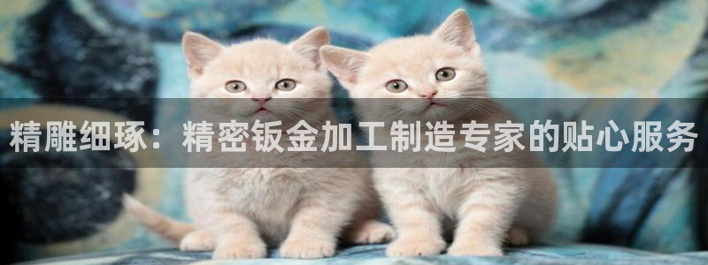 彩名堂v1.0.6