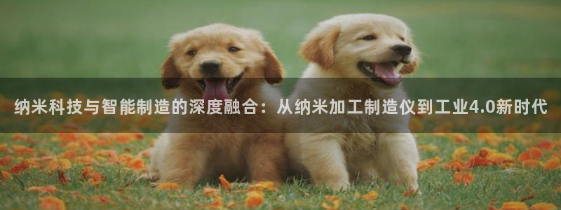 彩名堂免费计划客户端官网