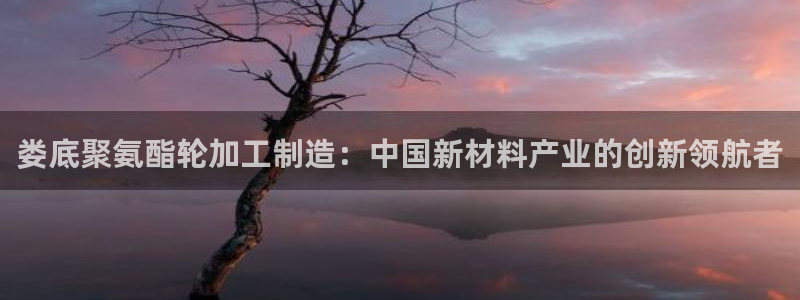 下载彩名堂预测计划软件安卓