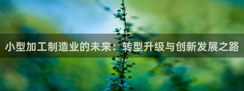 彩名堂预测免费计划app-彩名堂预测免费